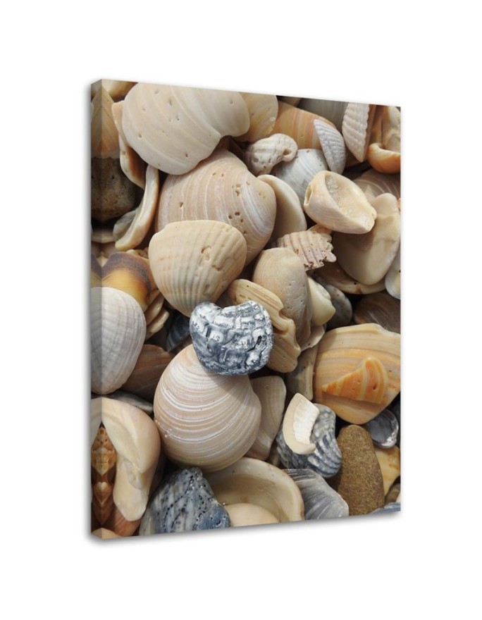 Marine canvas paintings - Shells and stones on the beach | FEEBY