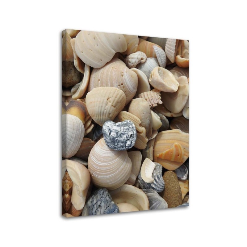 Marine canvas paintings - Shells and stones on the beach | FEEBY