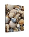 Marine canvas paintings - Shells and stones on the beach | FEEBY