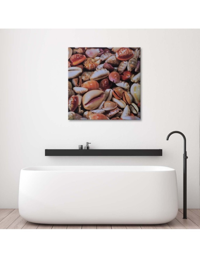 Marine Canvas paintings - Small seashells up close | FEEBY