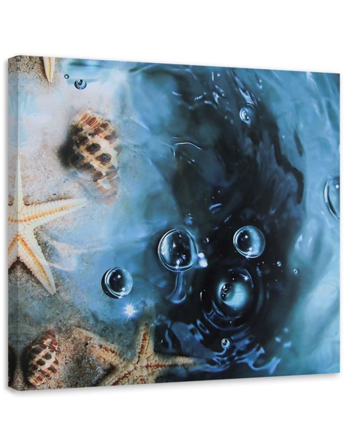 Marine canvas paintings - Shells in blue water | FEEBY