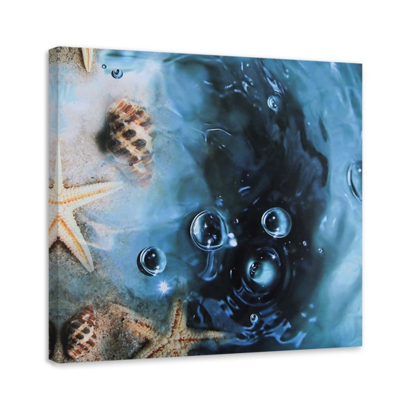 Marine canvas paintings - Shells in blue water | FEEBY