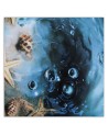 Marine canvas paintings - Shells in blue water | FEEBY