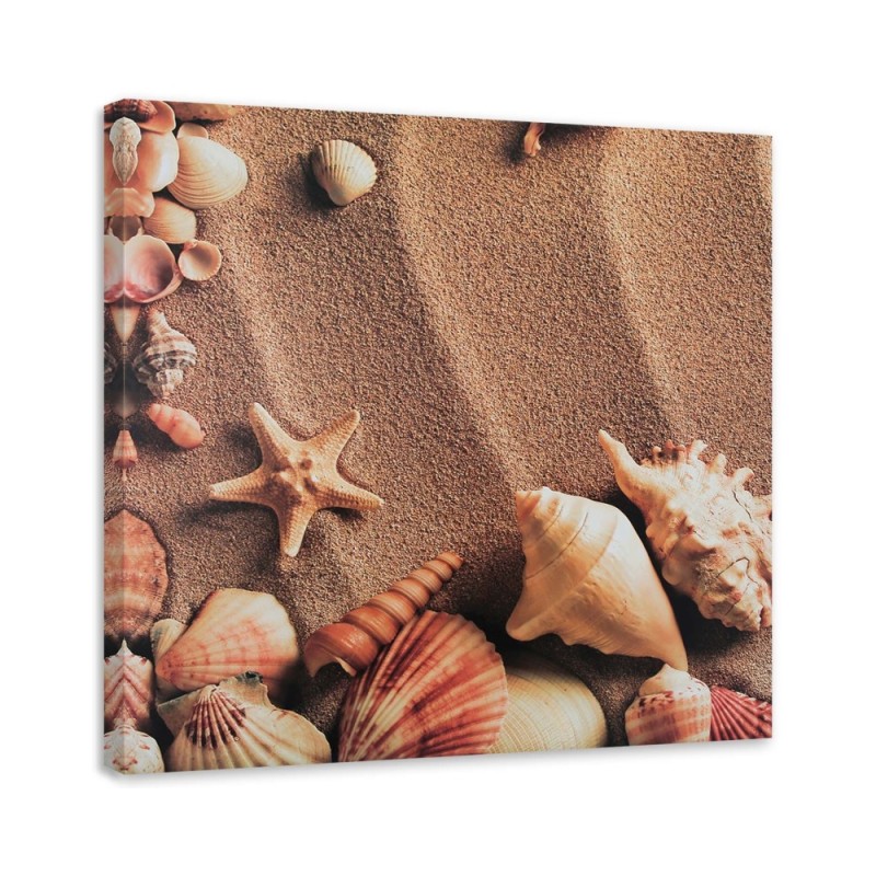 Marine Canvas paintings - Shells on dry sand. Dress your walls! | FEEBY
