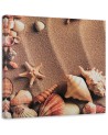Marine Canvas paintings - Shells on dry sand. Dress your walls! | FEEBY