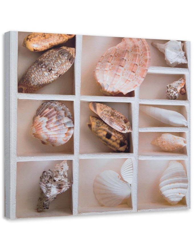Marine Canvas paintings - Shells | FEEBY