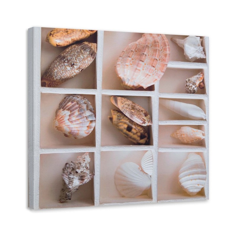 Marine Canvas paintings - Shells | FEEBY