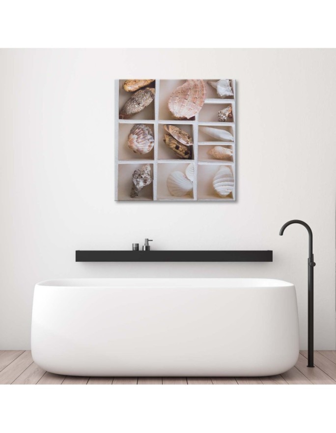 Marine Canvas paintings - Shells | FEEBY