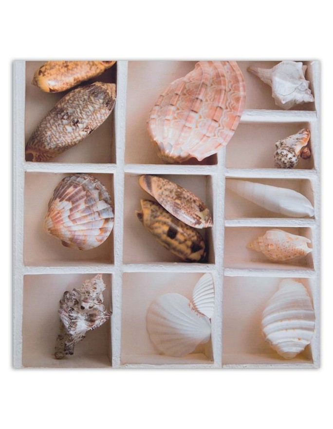 Marine Canvas paintings - Shells | FEEBY