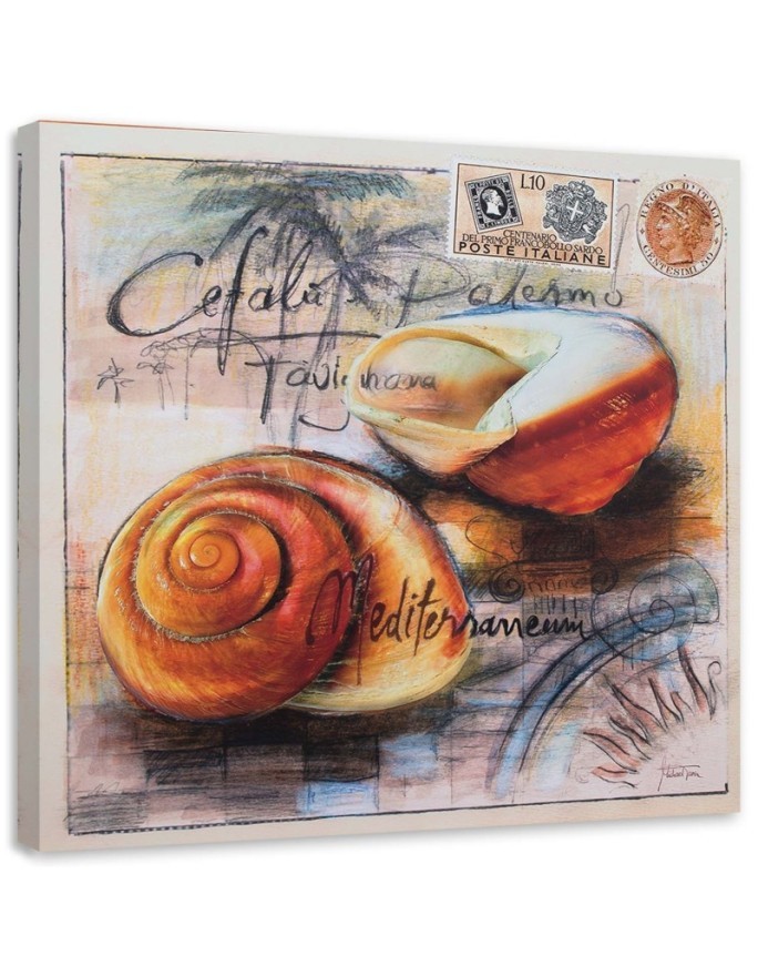 Maritime Canvas prints - Maritime Postcard with two seashells | FEEBY