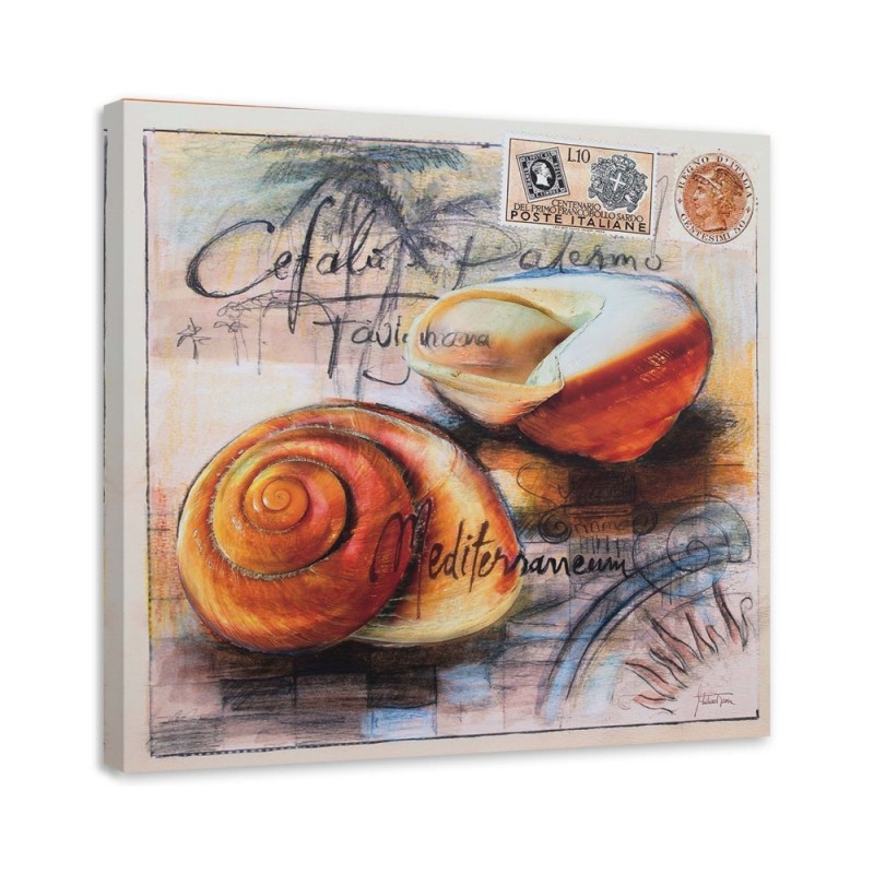 Maritime Canvas prints - Maritime Postcard with two seashells | FEEBY