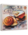 Maritime Canvas prints - Maritime Postcard with two seashells | FEEBY
