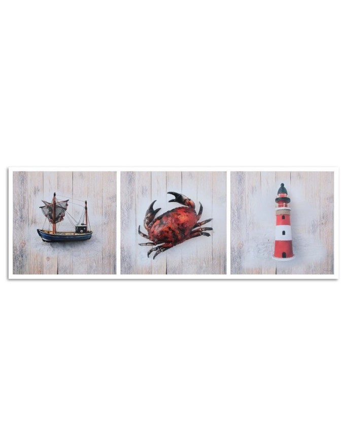 Marine Canvas paintings - Marine elements | FEEBY