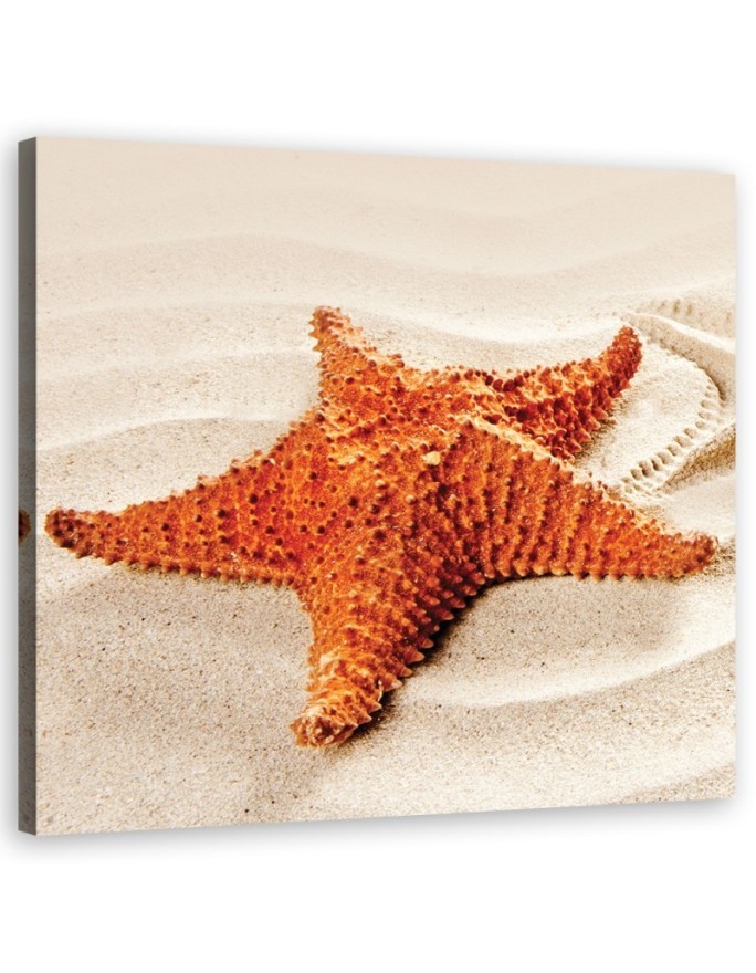 Marine Canvas prints art - Starfish beach | FEEBY
