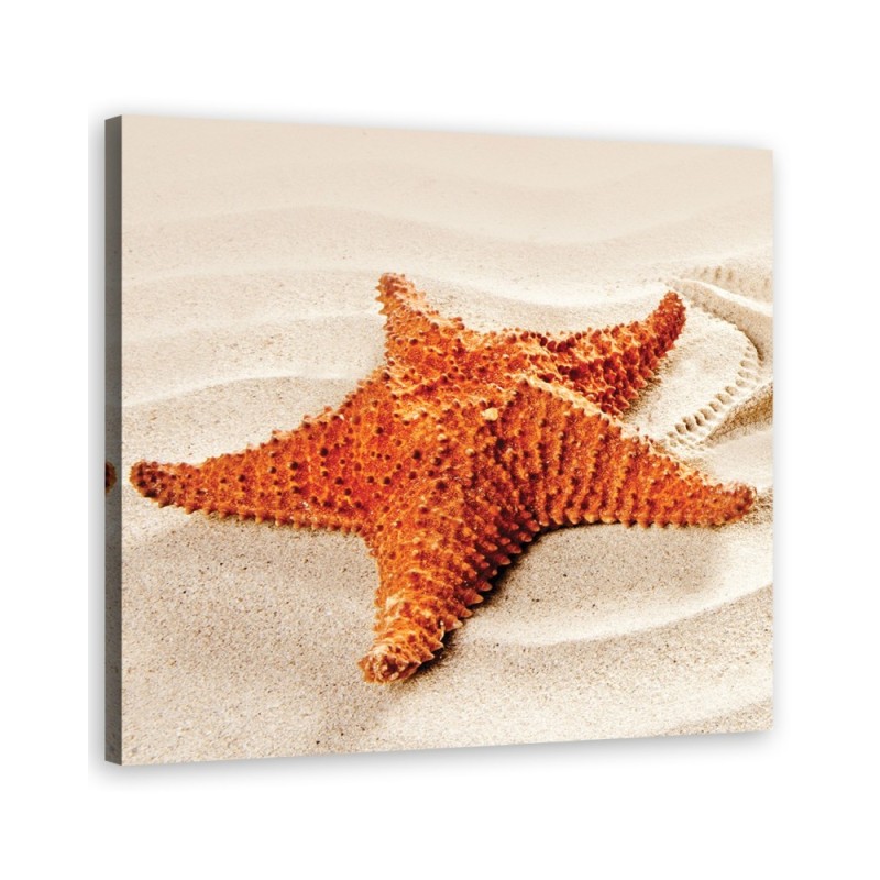 Marine Canvas prints art - Starfish beach | FEEBY