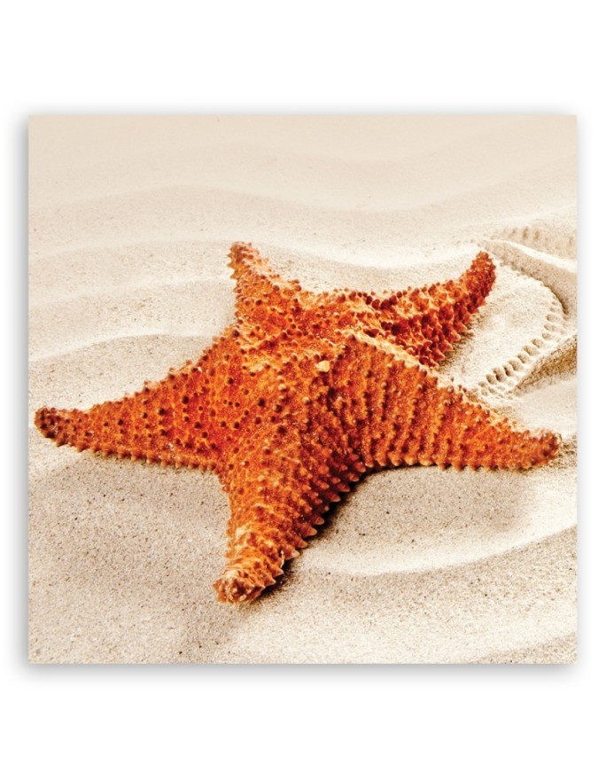 Marine Canvas prints art - Starfish beach | FEEBY