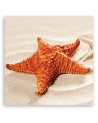 Marine Canvas prints art - Starfish beach | FEEBY