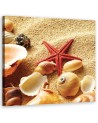 Marine - Marine canvas paintings - Shells and starfish | FEEBY
