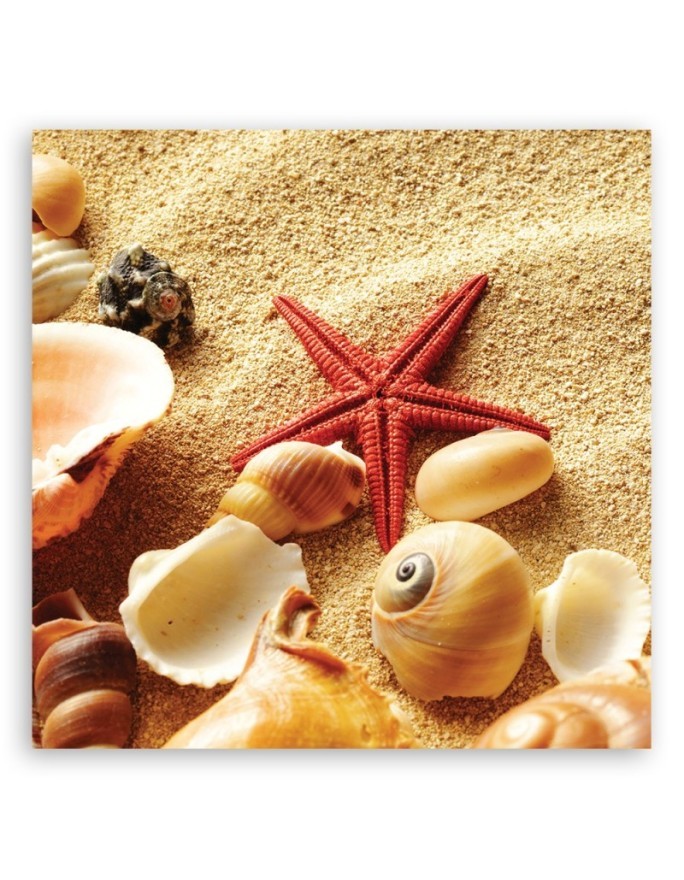 Marine - Marine canvas paintings - Shells and starfish | FEEBY