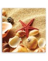 Marine - Marine canvas paintings - Shells and starfish | FEEBY