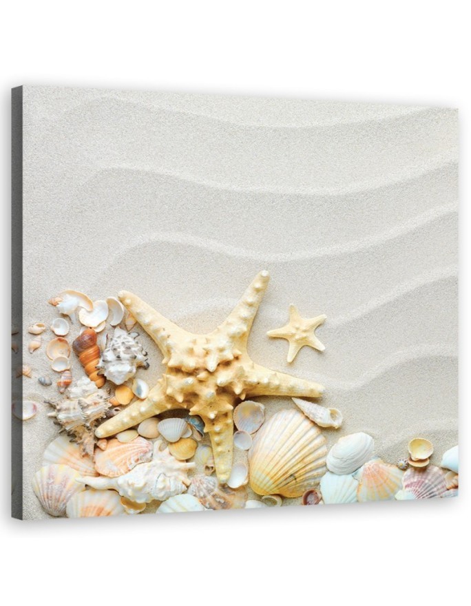 Marine Canvas paintings - Beach shells beige | FEEBY