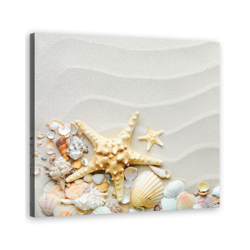 Marine Canvas paintings - Beach shells beige | FEEBY