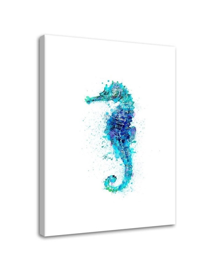 Marine paintings - Watercolour seahorse Andrea Haase | FEEBY