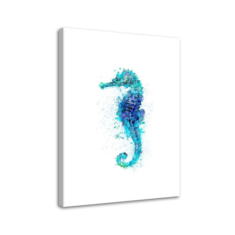 Marine paintings - Watercolour seahorse Andrea Haase | FEEBY