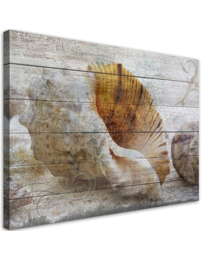 Vintage shells - Marine Canvas paintings | FEEBY