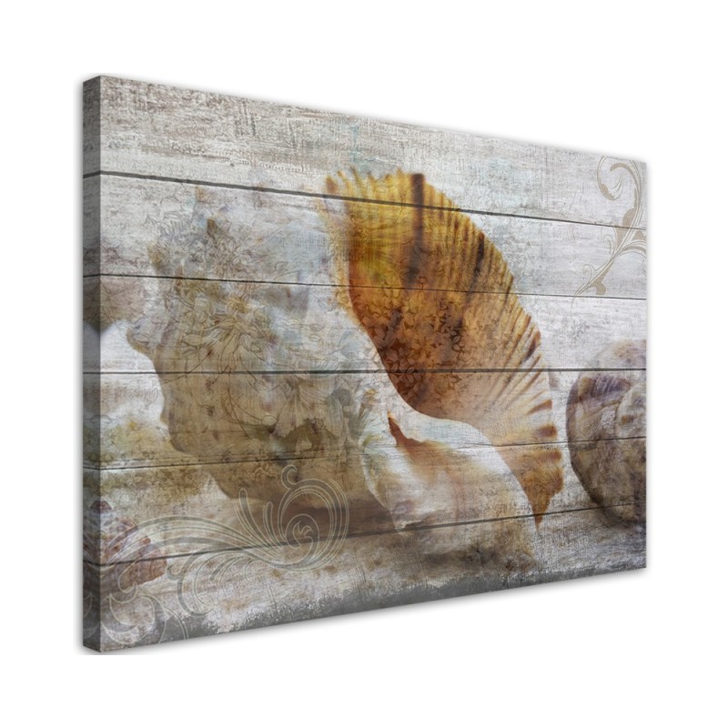 Vintage shells - Marine Canvas paintings | FEEBY