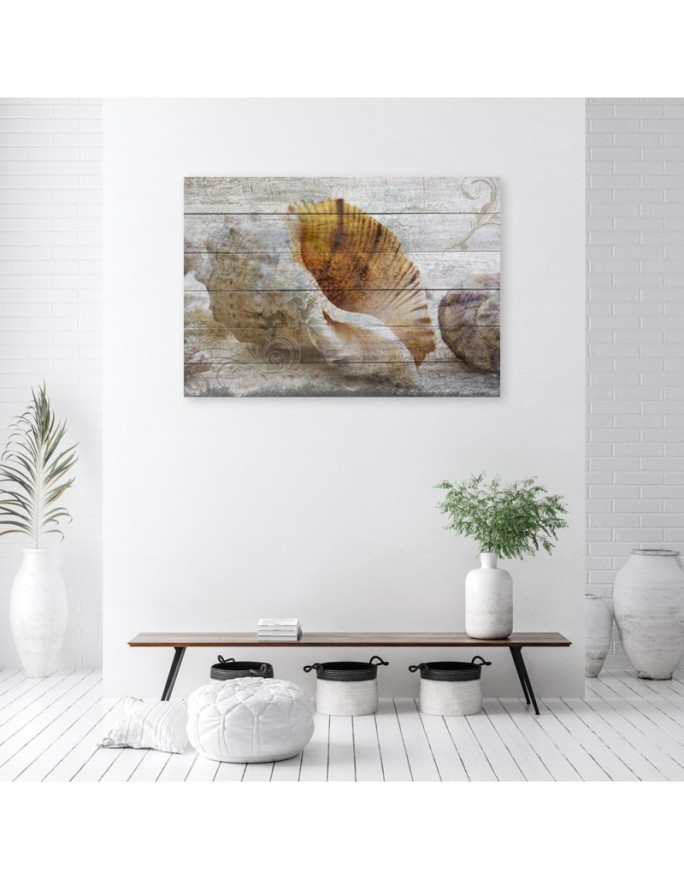 Vintage shells - Marine Canvas paintings | FEEBY