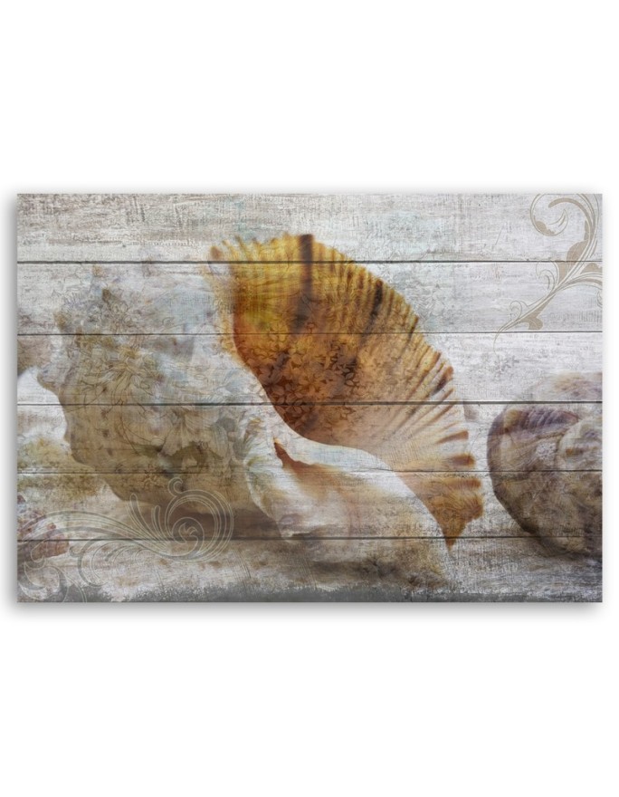 Vintage shells - Marine Canvas paintings | FEEBY
