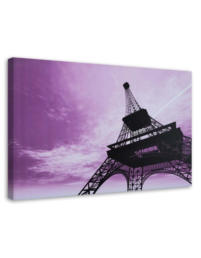 Photo on canvas - Eiffel Tower - City of Paris| FEEBY