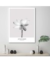 Abstract painting on canvas - White lotus flower | FEEBY