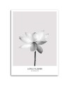 Abstract painting on canvas - White lotus flower | FEEBY