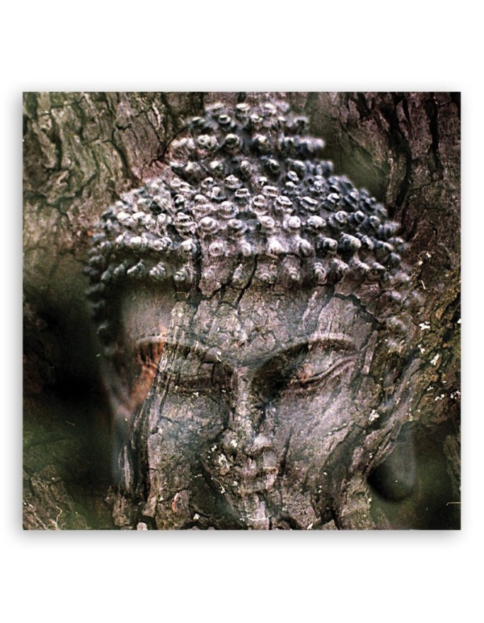 Buddha zen spa - Abstract painting on canvas | FEEBY