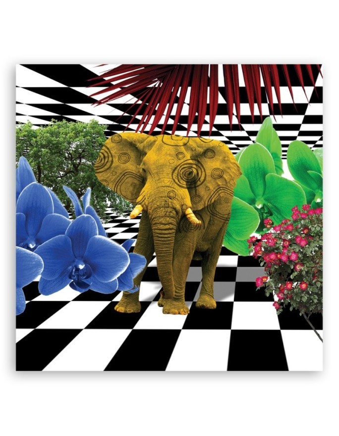Colourful elephant - Canvas wall art painting | FEEBY