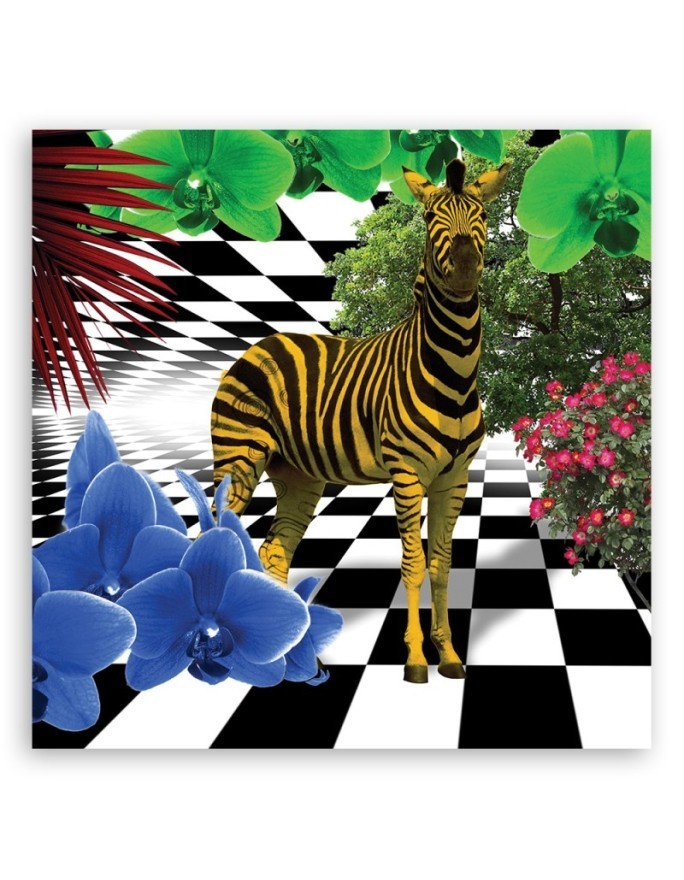 Colourful zebra nature animals - Canvas wall art painting | FEEBY