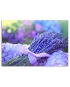 Lavender flower - Modern Canvas painting for living room | FEEBY