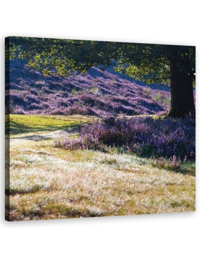 Landscape lavender meadow - Canvas painting for living room canvas | FEEBY