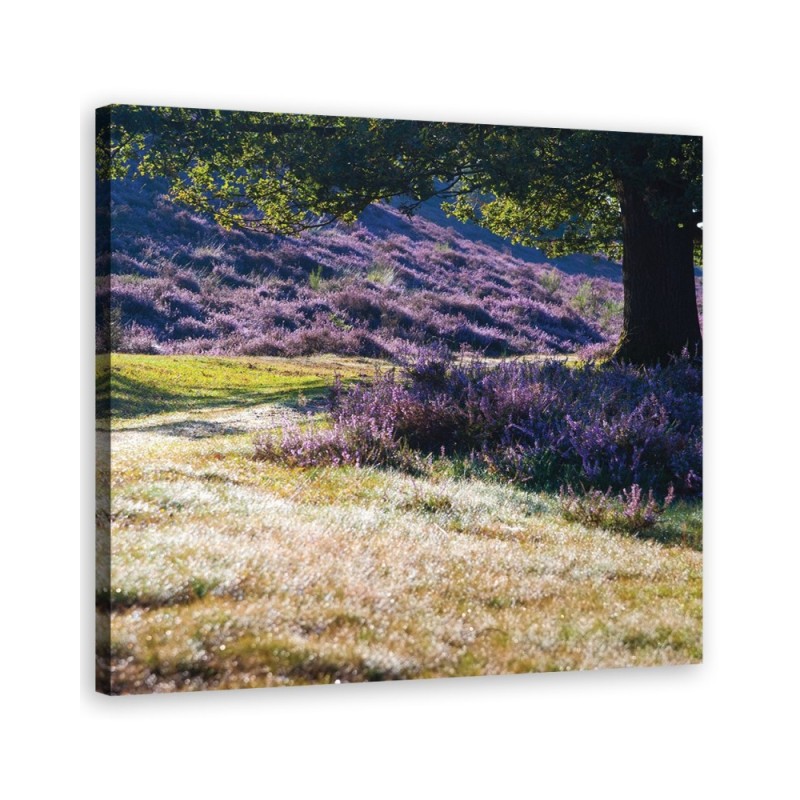 Landscape lavender meadow - Canvas painting for living room canvas | FEEBY