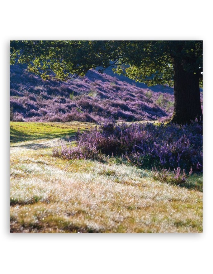 Landscape lavender meadow - Canvas painting for living room canvas | FEEBY