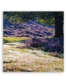 Landscape lavender meadow - Canvas painting for living room canvas | FEEBY