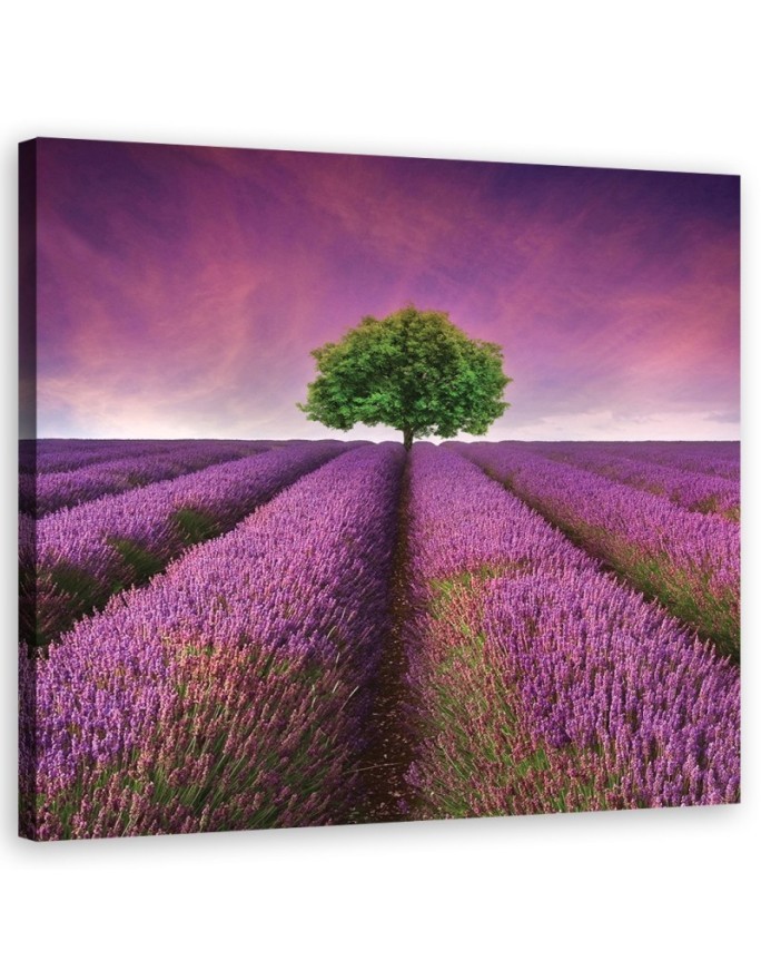 Landscape violet - Pictures on Canvas for the living room canvas | FEEBY