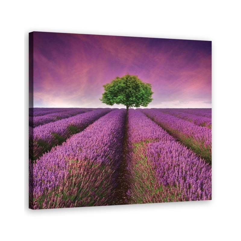 Landscape violet - Pictures on Canvas for the living room canvas | FEEBY