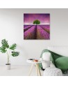 Landscape violet - Pictures on Canvas for the living room canvas | FEEBY