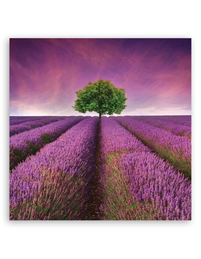Landscape violet - Pictures on Canvas for the living room canvas | FEEBY