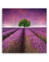 Landscape violet - Pictures on Canvas for the living room canvas | FEEBY