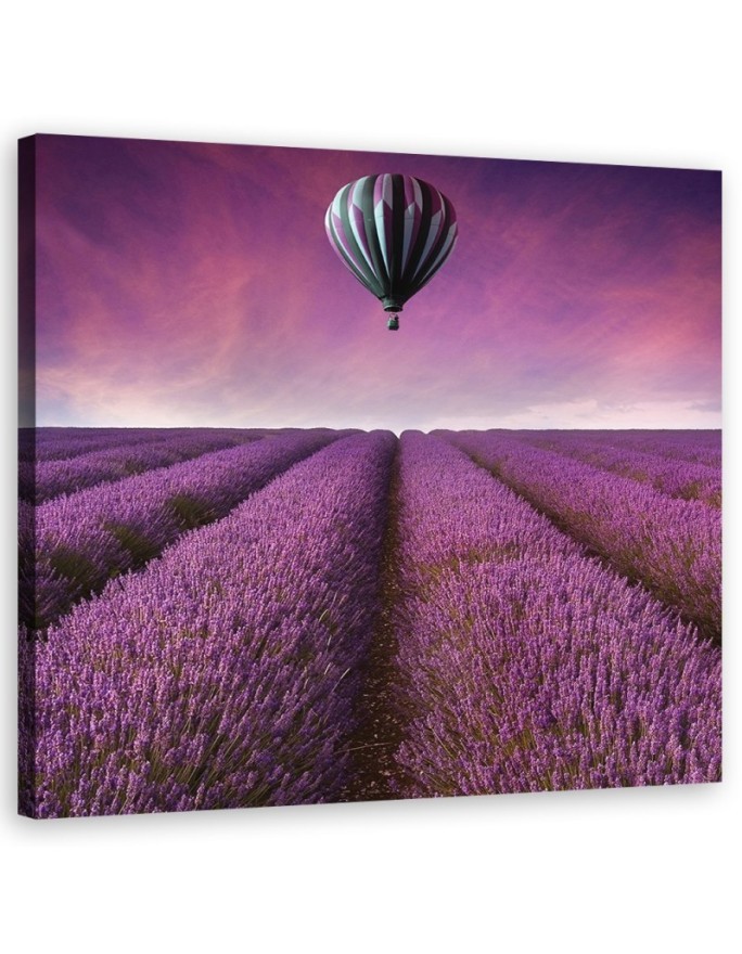 Lavender field landscape - Printed Canvas prints for living room | FEEBY