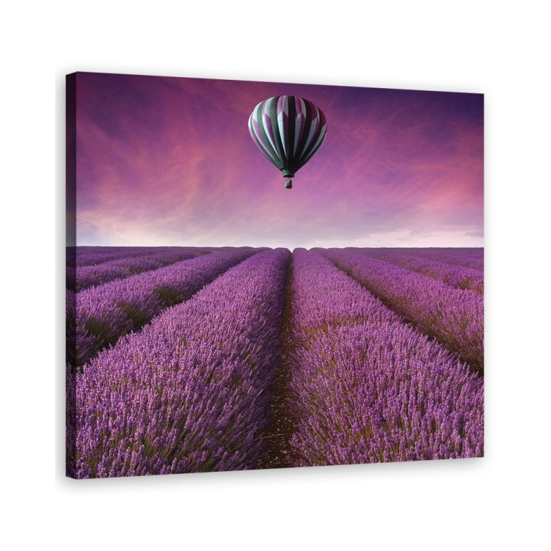Lavender field landscape - Printed Canvas prints for living room | FEEBY